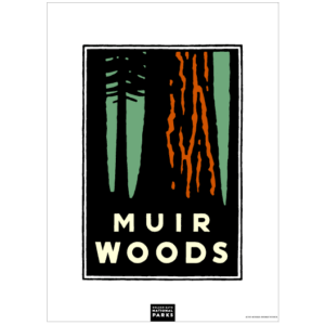 Muir Woods