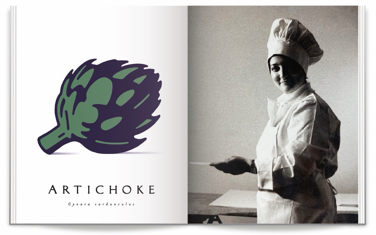 SCHWAB BOOK 3D Artichoke