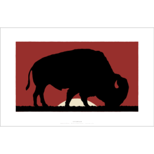 American Bison